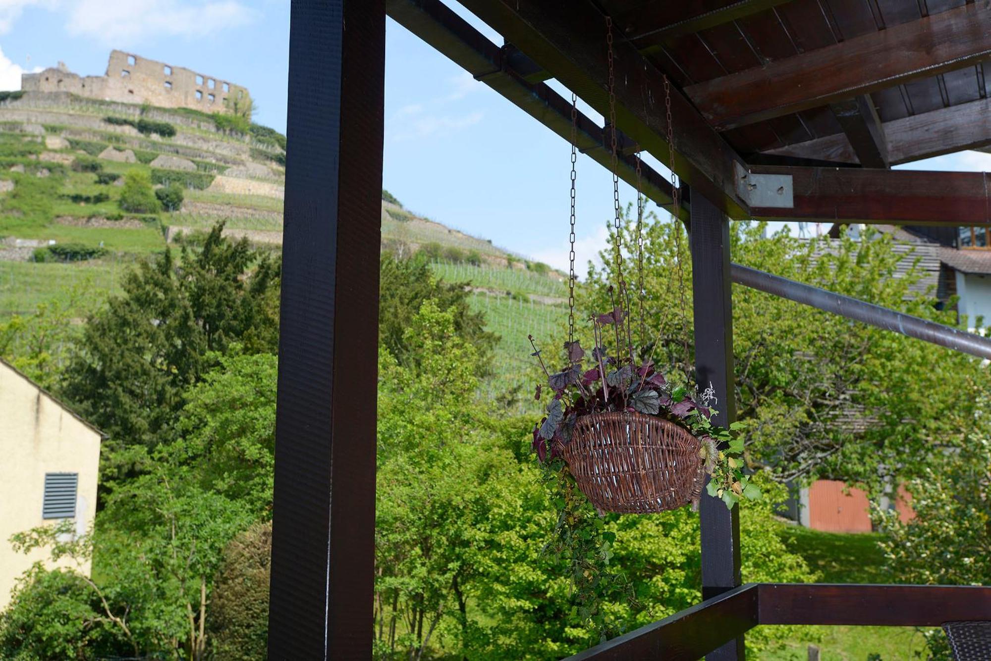 Gaestehaus Goethe Staufen im Breisgau Exterior photo